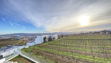 Weitläufiger Blick über Weinberge und die umliegende Landschaft mit Gebäuden unter strahlendem Himmel.