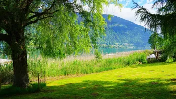 Großer grüner Gartenbereich mit altem Baum, Rasenfläche und Blick auf den See und die Berge.