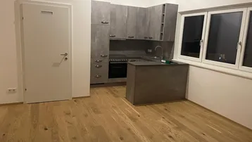 Moderne Einbauküche mit grauen Fronten und Holzboden in einem offenen Wohnbereich.