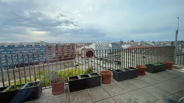 Große Dachterrasse mit Stadtblick und Pflanzen in Töpfen unter bewölktem Himmel.