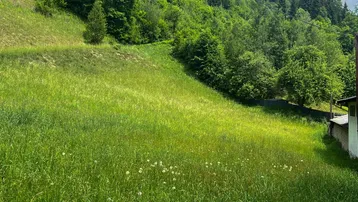 Grüne Wiese am Hang mit Bäumen im Hintergrund und einem kleinen Teil eines Gebäudes am Rand.