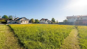 Sonniges Grundstück mit grüner Wiese und gelben Blumen, umgeben von Wohnhäusern in ländlicher Umgebung.