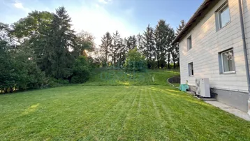 Großer, gepflegter Rasenbereich neben dem Haus mit Bäumen im Hintergrund unter blauem Himmel.