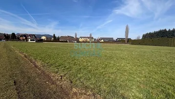 Weitläufige grüne Wiese mit Wohnbebauung im Hintergrund unter klarem blauem Himmel.