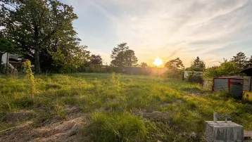 Weitläufiges grünes Grundstück mit Bäumen und einem malerischen Sonnenuntergang am Horizont.