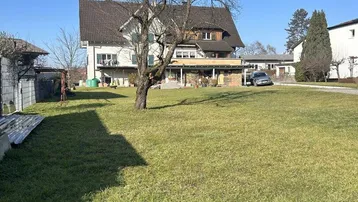 Großes Einfamilienhaus mit weitläufigem Rasen und altem Baum unter blauem Himmel.