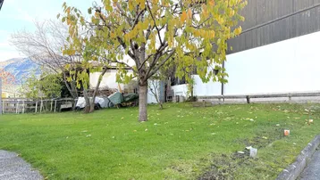 Grüner Gartenbereich mit Rasenfläche und einem Baum im Herbstlaub, umgeben von Gebäuden.