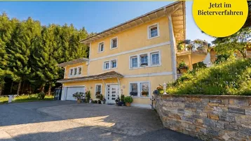 Gelbe Fassade eines Einfamilienhauses mit gepflasterter Auffahrt und umgebender Natur.