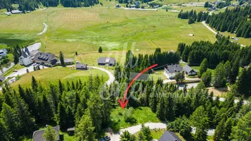 Luftaufnahme des Grundstücks, umgeben von Wald und Wiesen, mit angrenzenden Häusern.