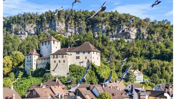 Malerischer Blick auf eine historische Burg auf einem Hügel, umgeben von Natur und Häusern.