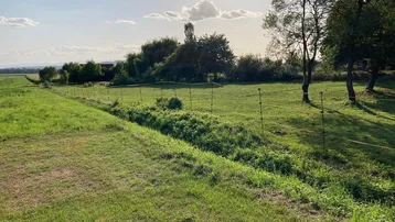 Weitläufige grüne Wiesenlandschaft mit einem einfachen Zaun und Bäumen unter strahlendem Sonnenschein.