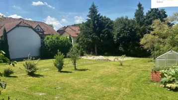 Großer, gepflegter Gartenbereich mit Rasenfläche und einem kleinen Gewächshaus im Hintergrund.
