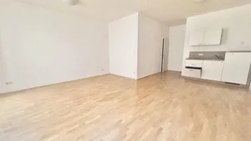 Helles Wohnzimmer mit Parkettboden und integrierter Küchenzeile in modernem Stil.