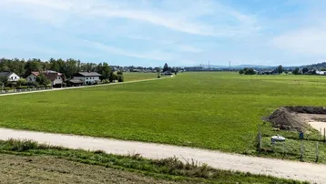 Panoramablick über weite grüne Felder mit vereinzelten Häusern am Horizont unter blauem Himmel.
