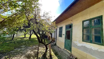 Altes Haus mit verwitterter Fassade und grünem Garten mit Obstbäumen unter blauem Himmel.