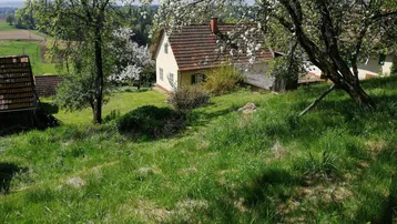 Haus auf einem grünen Hügel mit blühenden Bäumen und weitem Blick ins Grüne.