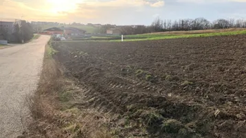 Weitläufiges Ackerland mit einem Feldweg und Gebäuden in der Ferne unter einem bewölkten Himmel.