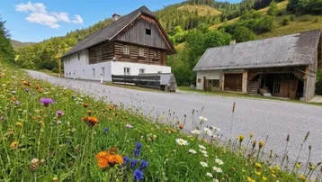 Traditionelles Bauernhaus mit Nebengebäude in ländlicher Umgebung, umgeben von grünen Wiesen und Bergen.