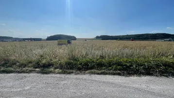 Weites Feld mit hohem Gras und einem "Immobilie zu verkaufen!" Schild unter strahlend blauem Himmel.