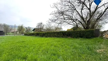 Weitläufige grüne Wiese mit Hecke und altem Baum, umgeben von ländlicher Idylle.