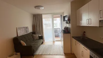 Heller offener Wohnbereich mit integrierter Küchenzeile, Holzboden und Zugang zu einem Balkon.