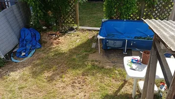 Ungepflegter Gartenbereich mit kleinem Aufstellpool, Rasenfläche und Sichtschutz zum Nachbarn.