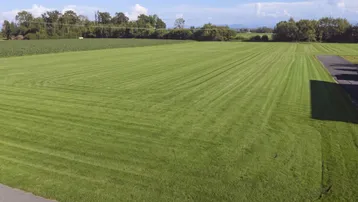 Weitläufiges grünes Feld unter blauem Himmel, ideal für Bauvorhaben oder landwirtschaftliche Nutzung.
