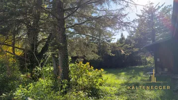 Großer Gartenbereich mit altem Baumbestand und viel Grün unter blauem Himmel.