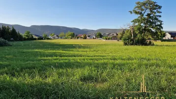 Idyllisches Grundstück mit weitem Blick auf die umliegende Landschaft und ferne Berge.