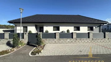 Moderne Einfamilienhausfassade mit dunklem Dach und gepflegter Zufahrt.