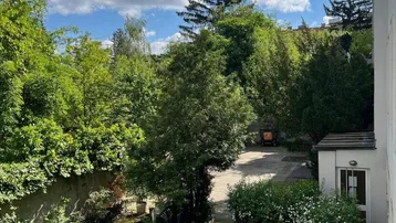 Grüner Gartenbereich mit Bäumen, Sträuchern und einem kleinen Weg unter blauem Himmel.