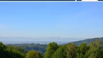 Weitläufiger Panoramablick über grüne Hügel und Wälder mit schneebedeckten Bergen am Horizont.