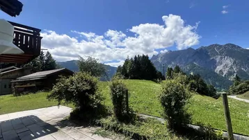 Weitläufiger Blick auf grüne Wiesen und majestätische Berge unter blauem Himmel.