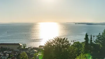 Heller, sonniger Blick über den See mit starker Lichtreflexion auf dem Wasser und grünen Bäumen.