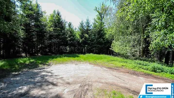 Lichtdurchflutete Waldlichtung mit Schotterweg, umgeben von hohen Bäumen und Grünflächen.