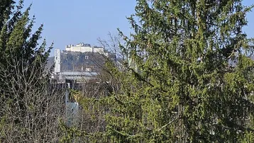 Fernblick auf die Festung Hohensalzburg über den Baumwipfeln an einem sonnigen Tag.