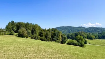 Weitläufiger Blick über grüne Wiesen und bewaldete Hügel unter blauem Himmel.