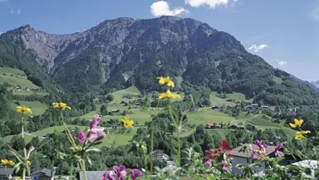 Malerische Berglandschaft mit grünen Tälern, verstreuten Häusern und blühenden Blumen im Vordergrund unter blauem Himmel.