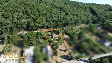 Luftaufnahme des Grundstücks mit Haus, umgeben von Wald und markierter Fläche.