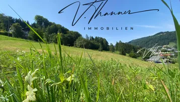 Grüne Hügellandschaft mit Wiesen und Bäumen unter blauem Himmel, Blick auf die Umgebung.