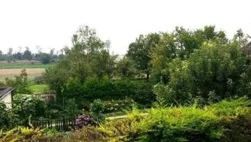 Blick auf einen grünen Gartenbereich mit Hecken und Bäumen, dahinter Felder.