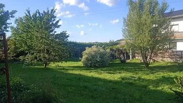 Heller, sonniger Garten mit Rasenfläche und hohen Bäumen vor dem Haus.
