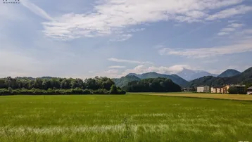 Weitläufige grüne Felder mit Waldrand und Bergblick unter einem blauen Himmel.