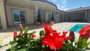 Sonnenverwöhnter Außenbereich mit Pool und Terrasse, umgeben von blühenden Pflanzen und mediterranem Flair.