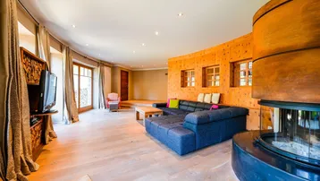 Geräumiges Wohnzimmer mit Holzwänden, modernem Sofa und einem runden Kamin in der Ecke.