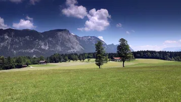 Weite grüne Wiesenlandschaft mit majestätischen Bergen im Hintergrund unter blauem Himmel.