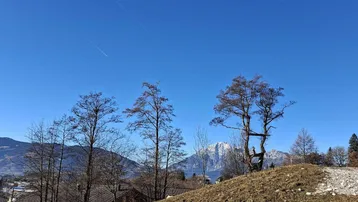 Panoramablick auf eine hügelige Landschaft mit kahlen Bäumen und schneebedeckten Bergen im Hintergrund unter blauem Himmel.