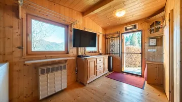 Gemütlicher Wohnbereich mit Holzvertäfelung, Fernseher und Blick auf die umliegende Natur.