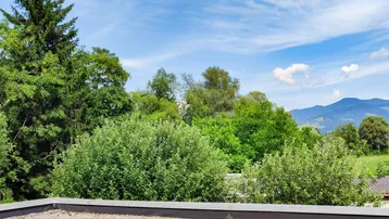 Weitläufiger Blick über grüne Baumwipfel und eine malerische Berglandschaft am Horizont.