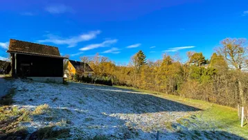 Frostbedecktes Feld mit einem kleinen Holzschuppen und herbstlichen Bäumen unter blauem Himmel.